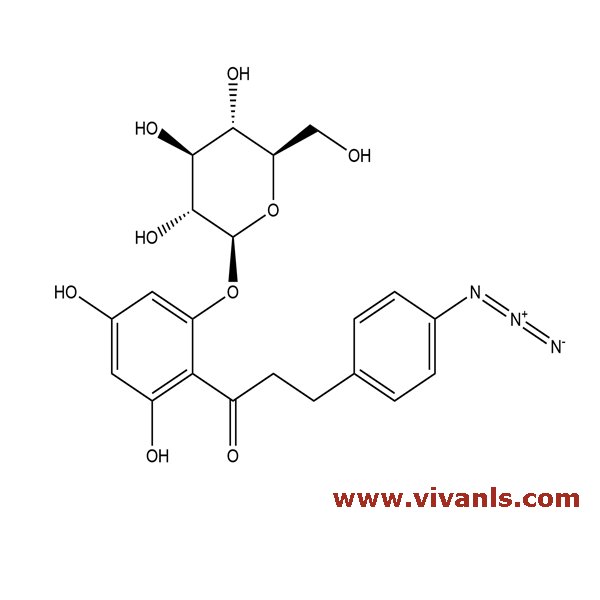 Metabolites-4-Azidophlorizin-1659093235.png