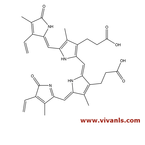 Standards-Biliverdine-1661855157.png