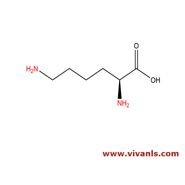 Standards-L-Lysine-1661513002.png
