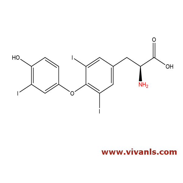 Standards-L-Triiodothyronine-1661846390.png