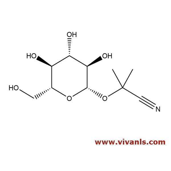 Standards-Linamarin-1662022548.PNG