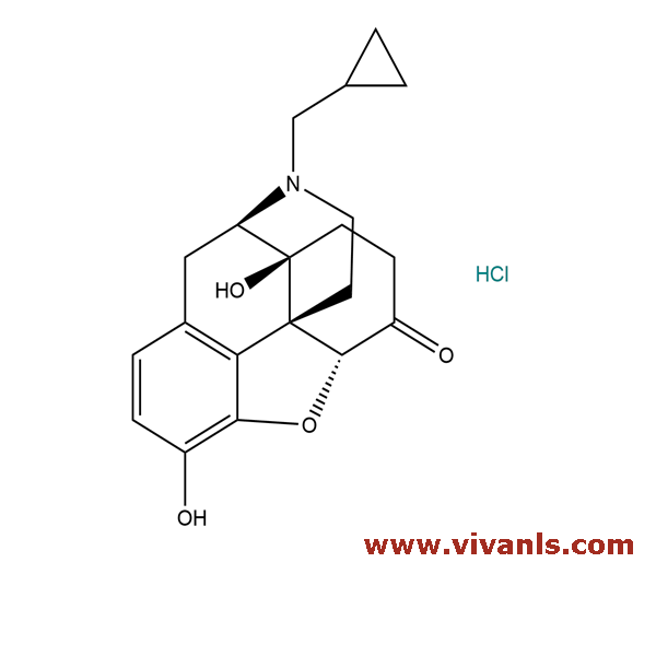 oral.tirzepatide ORAL TIRZEPATIDE TABLETS main image 0